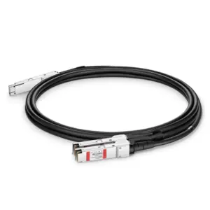 200G QSFP-DD to 2x100G QSFP28 passive branch cable