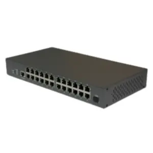 24-port 100 Mbit EPON ONU