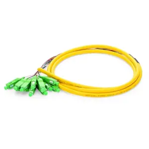 SC APC 12-core tubed optical fiber pigtail