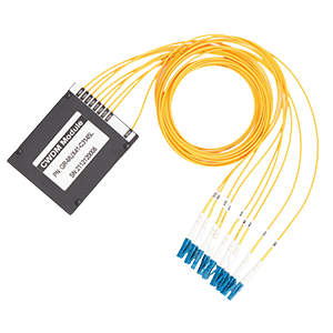 CWDM Module